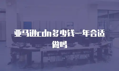 亚马逊cdn多少钱一年合适做吗