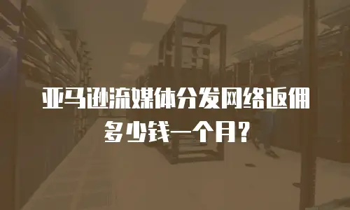 亚马逊流媒体分发网络返佣多少钱一个月？