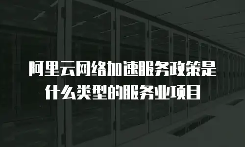 阿里云网络加速服务政策是什么类型的服务业项目