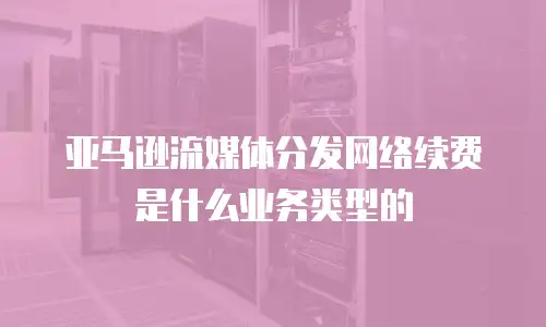 亚马逊流媒体分发网络续费是什么业务类型的