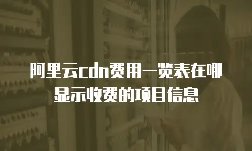 阿里云cdn费用一览表在哪显示收费的项目信息
