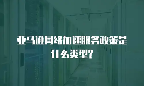 亚马逊网络加速服务政策是什么类型?