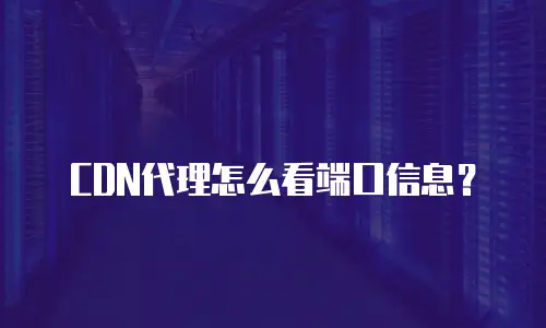 CDN代理怎么看端口信息？