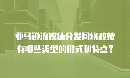 亚马逊流媒体分发网络政策有哪些类型的形式和特点？