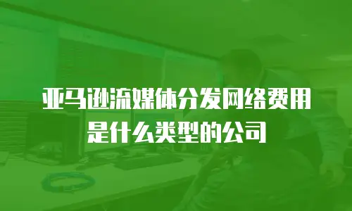 亚马逊流媒体分发网络费用是什么类型的公司