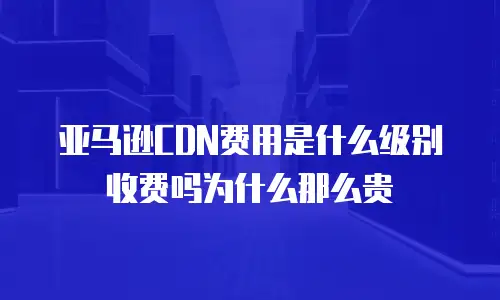 亚马逊CDN费用是什么级别收费吗为什么那么贵