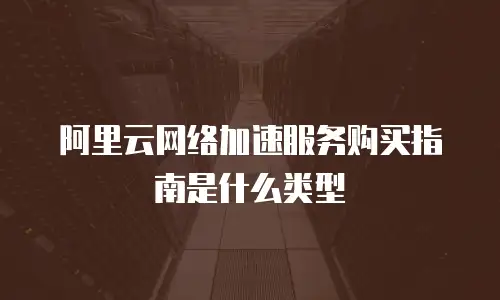 阿里云网络加速服务购买指南是什么类型