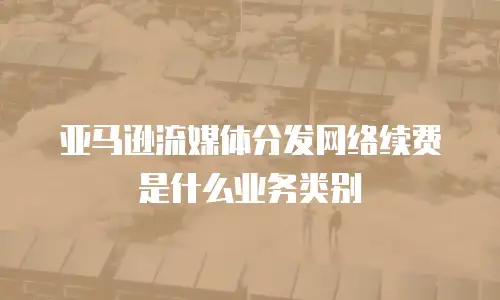 亚马逊流媒体分发网络续费是什么业务类别