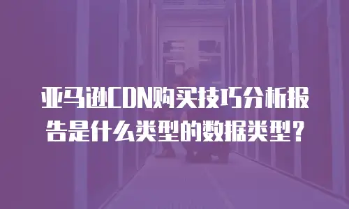 亚马逊CDN购买技巧分析报告是什么类型的数据类型？