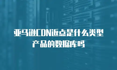 亚马逊CDN返点是什么类型产品的数据库吗