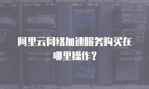 阿里云网络加速服务购买在哪里操作？