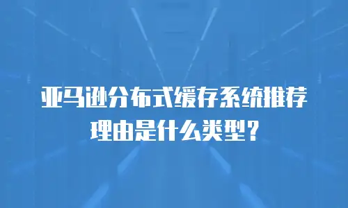 亚马逊分布式缓存系统推荐理由是什么类型？