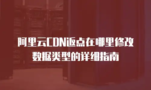 阿里云CDN返点在哪里修改数据类型的详细指南