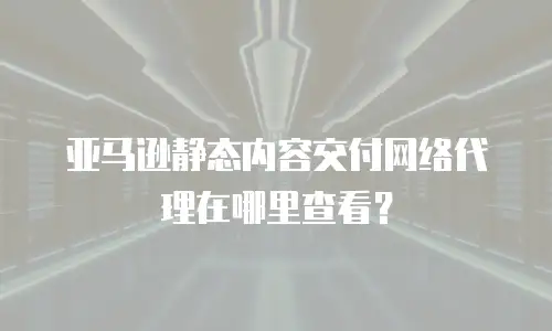 亚马逊静态内容交付网络代理在哪里查看？