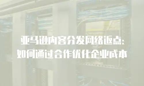 亚马逊内容分发网络返点：如何通过合作优化企业成本