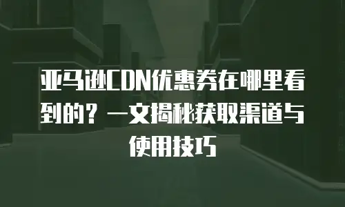 亚马逊CDN优惠券在哪里看到的？一文揭秘获取渠道与使用技巧