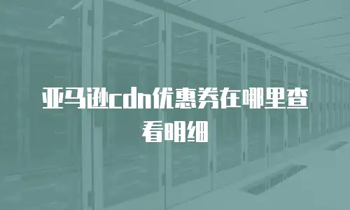 亚马逊cdn优惠券在哪里查看明细
