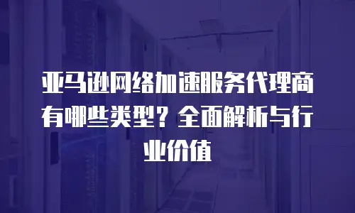 亚马逊网络加速服务代理商有哪些类型？全面解析与行业价值