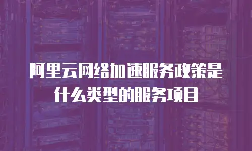 阿里云网络加速服务政策是什么类型的服务项目