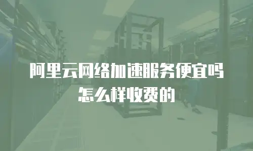 阿里云网络加速服务便宜吗怎么样收费的