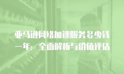 亚马逊网络加速服务多少钱一年：全面解析与价值评估