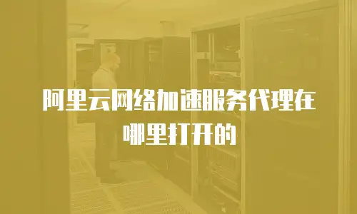 阿里云网络加速服务代理在哪里打开的