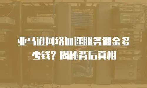 亚马逊网络加速服务佣金多少钱？揭秘背后真相