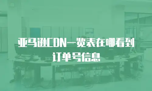 亚马逊CDN一览表在哪看到订单号信息