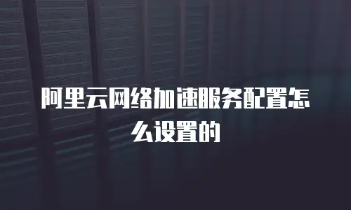 阿里云网络加速服务配置怎么设置的