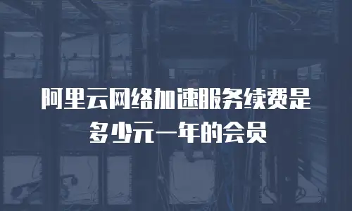 阿里云网络加速服务续费是多少元一年的会员
