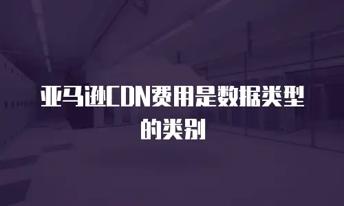 亚马逊CDN费用是数据类型的类别