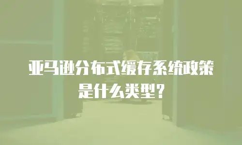 亚马逊分布式缓存系统政策是什么类型？