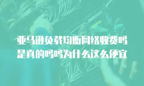 亚马逊负载均衡网络收费吗是真的吗吗为什么这么便宜