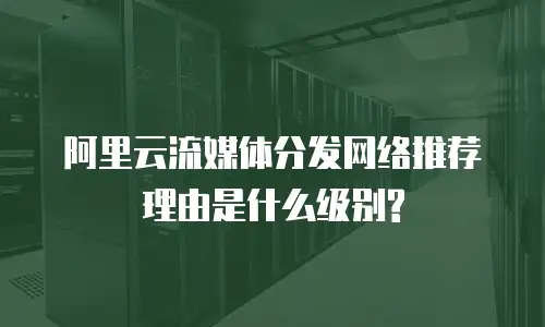 阿里云流媒体分发网络推荐理由是什么级别?