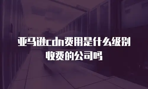 亚马逊cdn费用是什么级别收费的公司吗