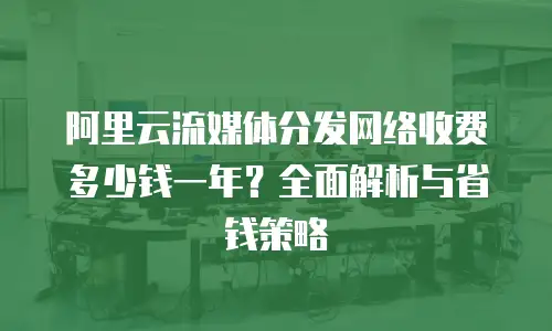 阿里云流媒体分发网络收费多少钱一年？全面解析与省钱策略