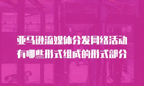 亚马逊流媒体分发网络活动有哪些形式组成的形式部分