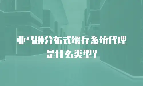 亚马逊分布式缓存系统代理是什么类型？