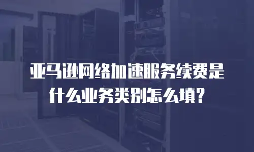 亚马逊网络加速服务续费是什么业务类别怎么填？