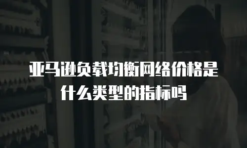 亚马逊负载均衡网络价格是什么类型的指标吗
