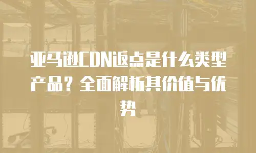 亚马逊CDN返点是什么类型产品？全面解析其价值与优势