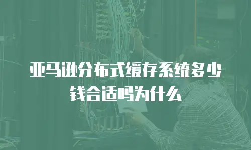 亚马逊分布式缓存系统多少钱合适吗为什么