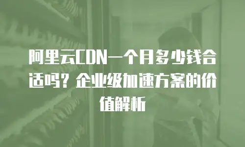 阿里云CDN一个月多少钱合适吗？企业级加速方案的价值解析