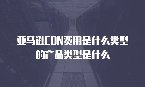 亚马逊CDN费用是什么类型的产品类型是什么