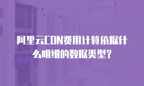 阿里云CDN费用计算依据什么明细的数据类型？