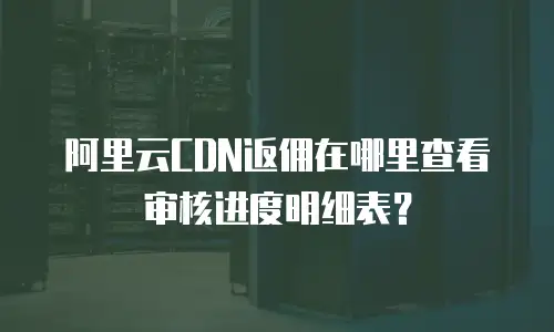 阿里云CDN返佣在哪里查看审核进度明细表？