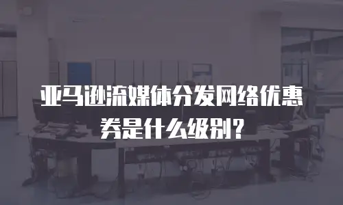 亚马逊流媒体分发网络优惠券是什么级别？