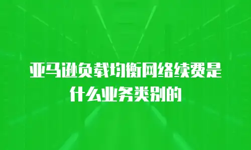 亚马逊负载均衡网络续费是什么业务类别的