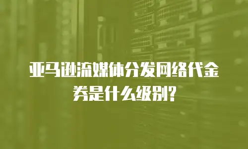 亚马逊流媒体分发网络代金券是什么级别?