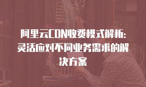 阿里云CDN收费模式解析：灵活应对不同业务需求的解决方案